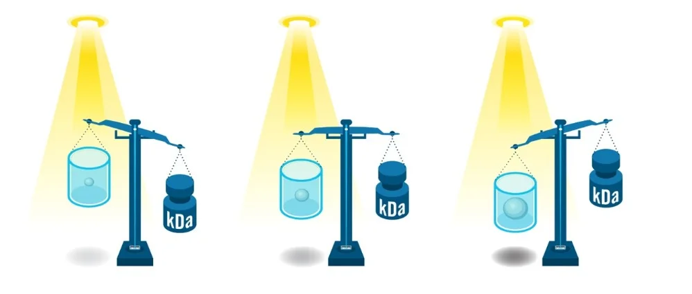 How does mass photometry work? (2025)
