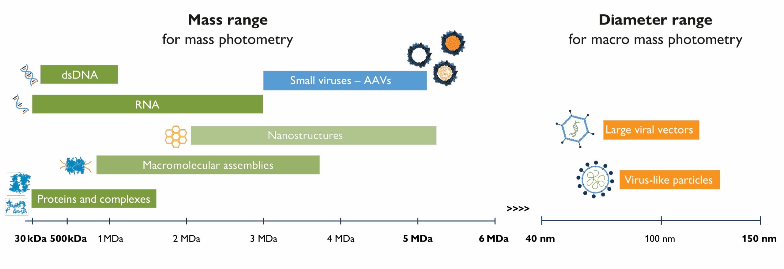 A chart showing the mass and diameter ranges for mass photometry and macro mass photometry. The mass range (30 kDa to 6 MDa) includes proteins and complexes, macromolecular assemblies, nanostructures, RNA, dsDNA, and small viruses (AAVs). The diameter range (40 nm to 150 nm) includes large viral vectors and virus-like particles.
