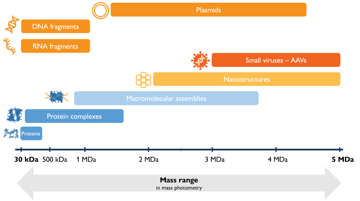 Understanding the strengths and boundaries of mass photometry (2025)
