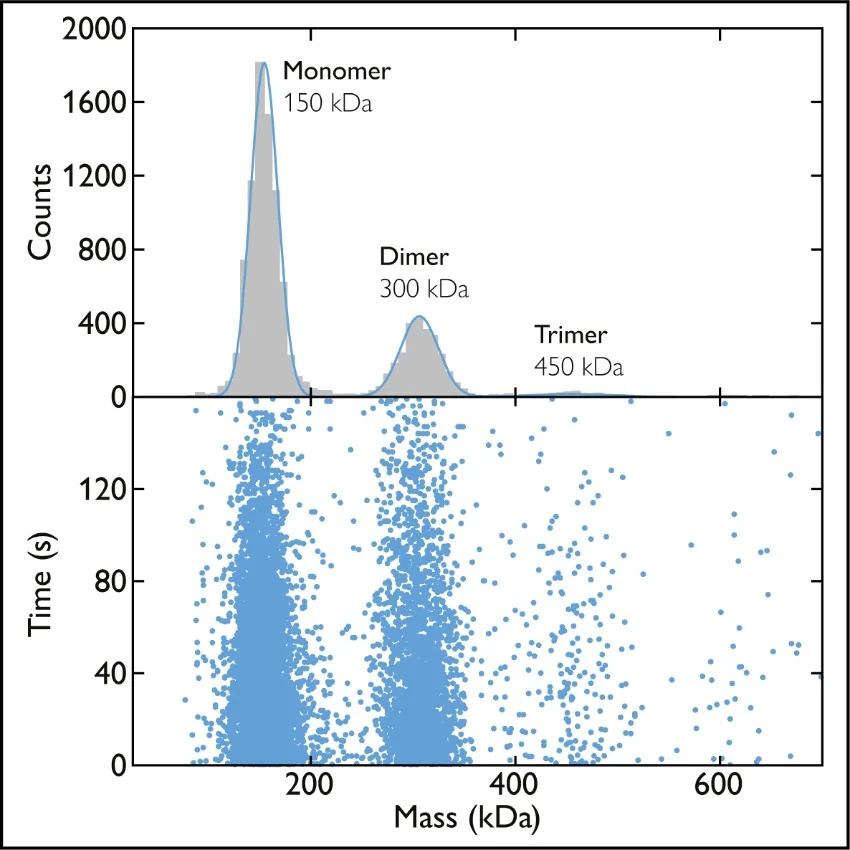 Making sense of mass photometry measurements
