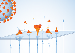 Analyzing complex SARS-CoV-2 samples with mass photometry