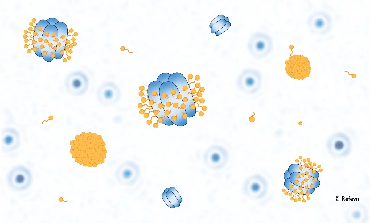 How to study membrane proteins with mass photometry