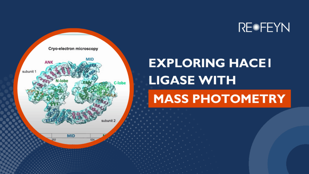 Webinar: Exploring HACE1 Ligase