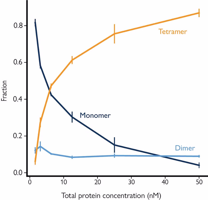 Automated mass photometry supports protein oligomerization studies