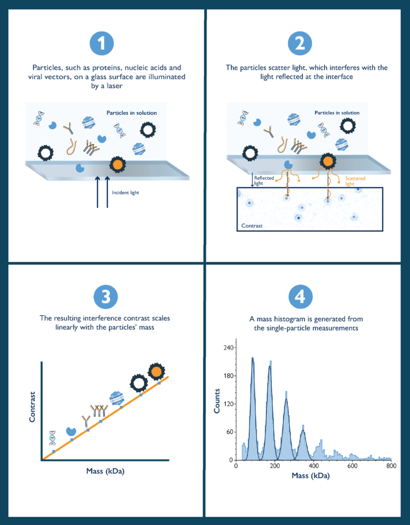 How Mass Photometry Works 
