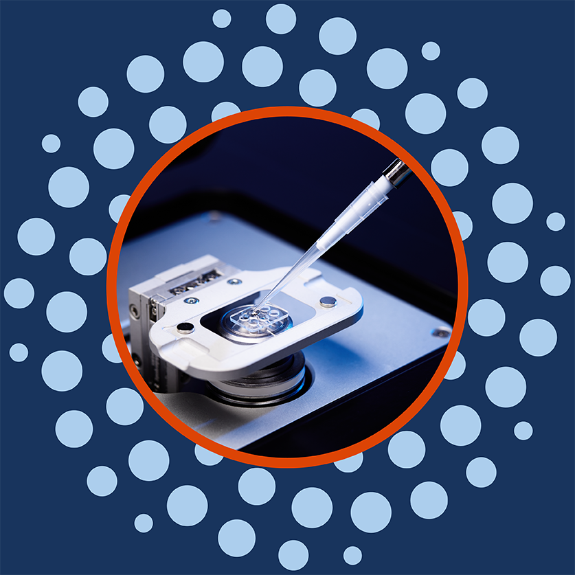 SamuxMP-demo-banners