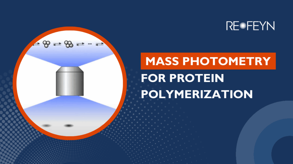 Diagram illustrating mass photometry for protein polymerization, showing a microscope objective focusing light on molecules, with the text "MASS PHOTOMETRY FOR PROTEIN POLYMERIZATION" and the logo "REOFEYN".