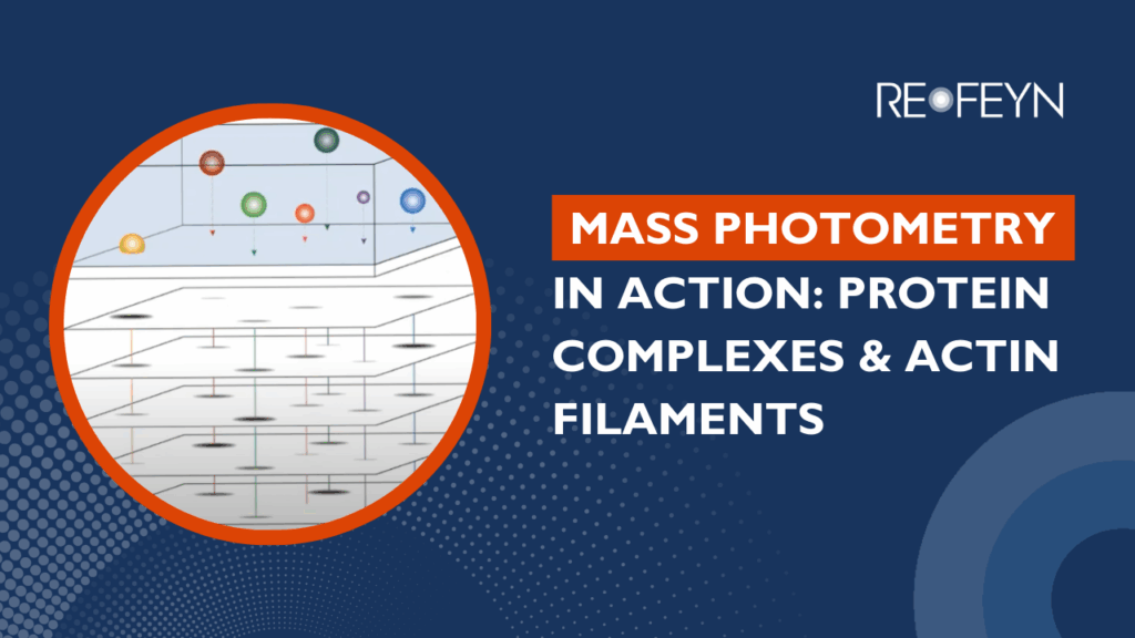 Diagram illustrating mass photometry with colorful spheres representing molecules in a grid, next to text that reads "MASS PHOTOMETRY IN ACTION: PROTEIN COMPLEXES & ACTIN FILAMENTS" and the "RE FEYN" logo.