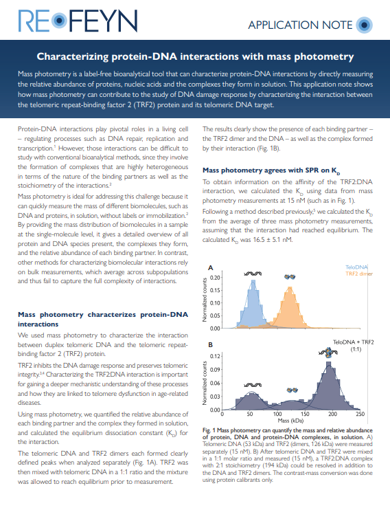 Preview of the first page of this application note about measuring protein-DNA interaction with mass photometry