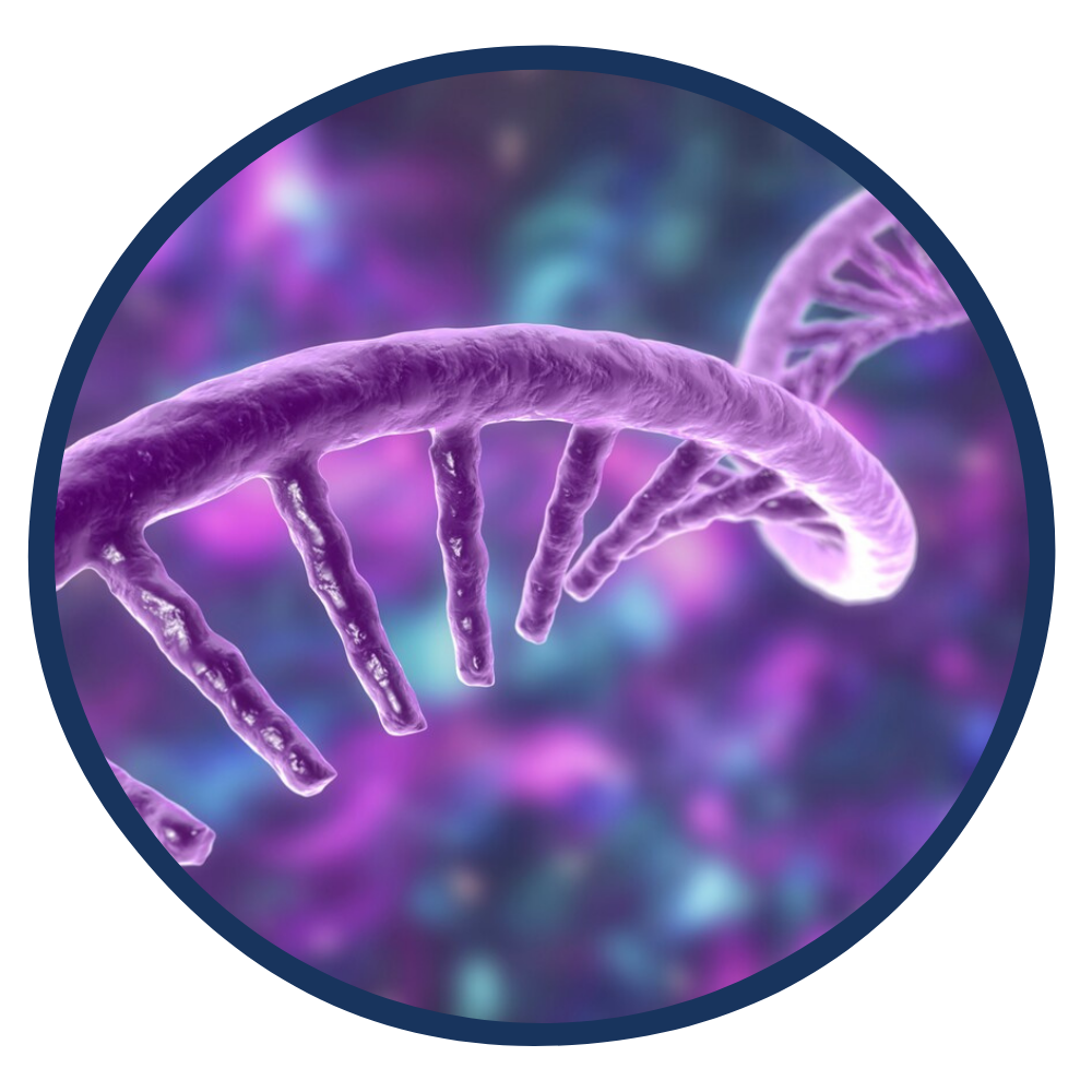 RNA banner web