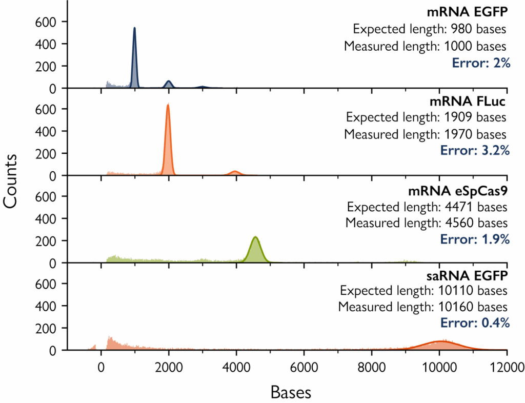 Histograms showing the length distribution of different mRNA and saRNA molecules. The top histogram displays mRNA EGFP with an expected length of 980 bases and a measured length of 1000 bases, resulting in a 2% error. The second histogram shows mRNA Fluc with an expected length of 1909 bases and a measured length of 1970 bases, showing a 3.2% error. The third histogram represents mRNA eSpCas9,