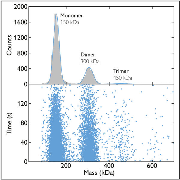 Example of a mass photometry histogram that shows data from the measurement of an antibody with several oligomeric forms