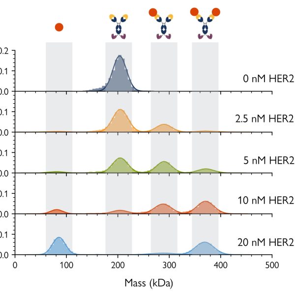 A series of histograms showing mass photometry measurement of a bispecific antibody and one of its antigens at different concentrations